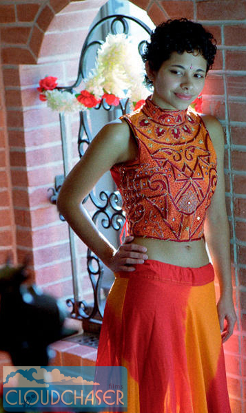 David Mallin - India in the Burgh