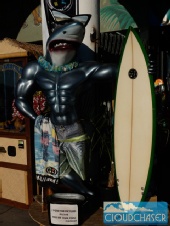 David Mallin - Shark Surfer
