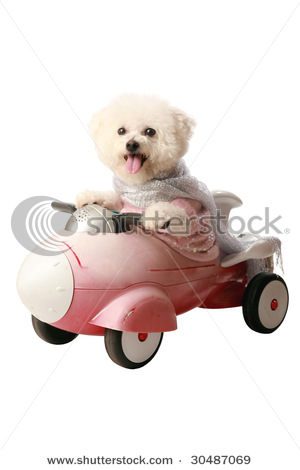 mikeledray - Fifi loves her Rocket Car