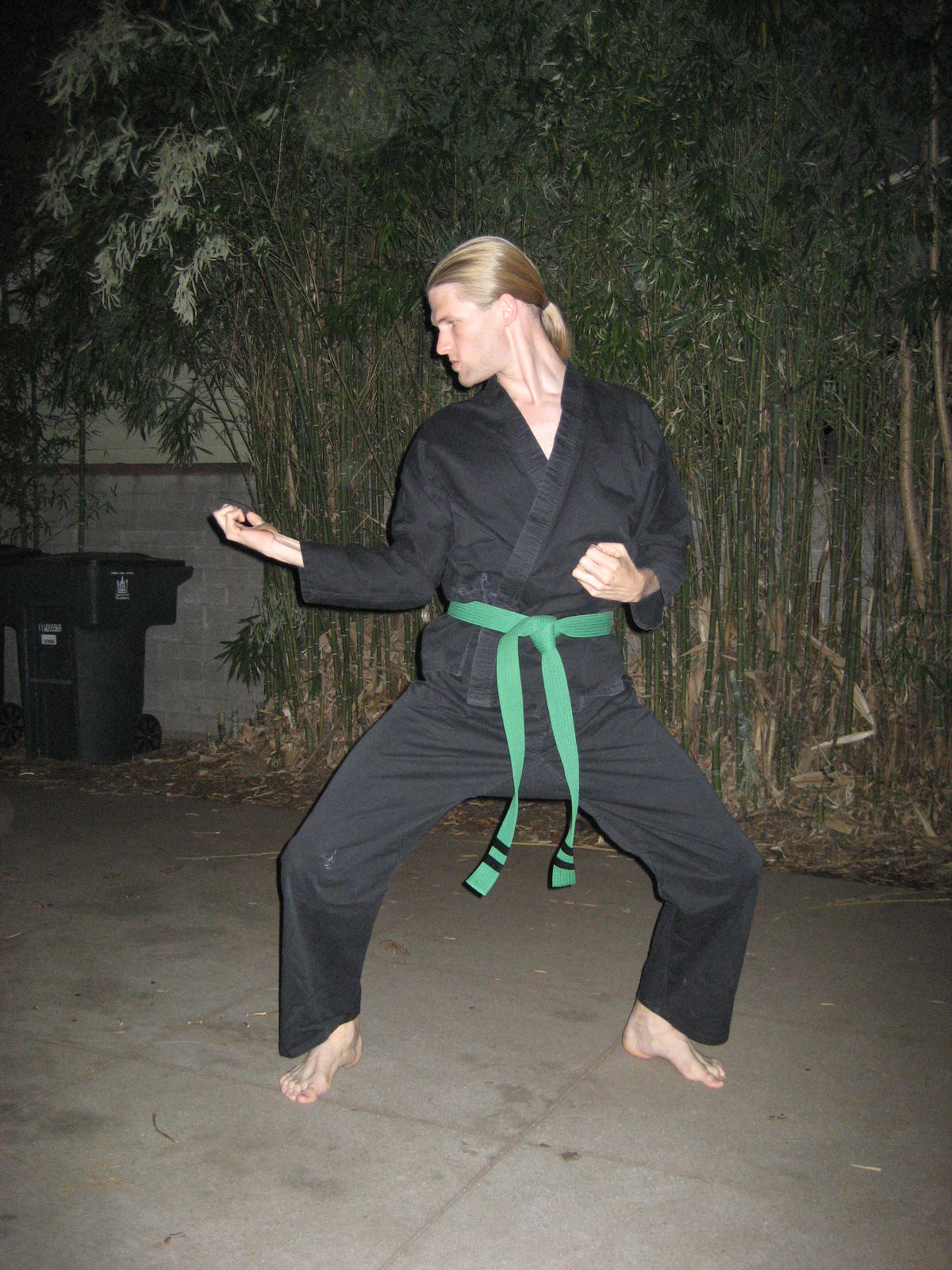 Trevor Brunsink - Karate