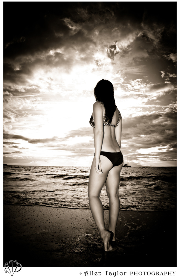 Allen Lee Taylor - Island Girl