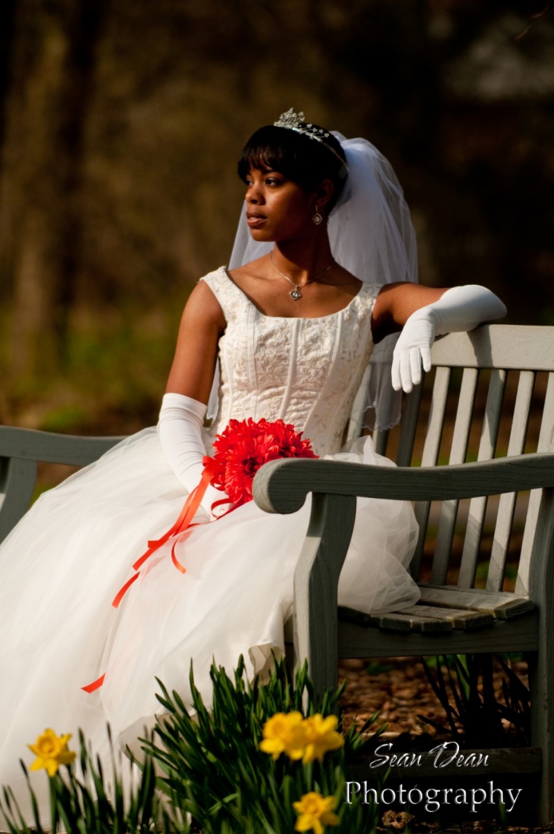 Sean Dean Photography