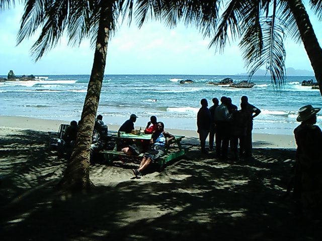 steve maingot - Under the coconut tree