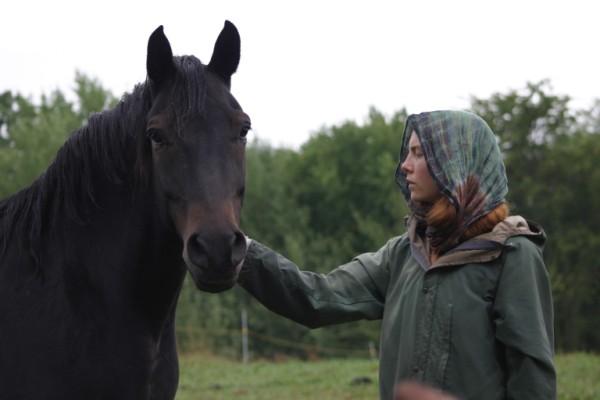 darkhorse
