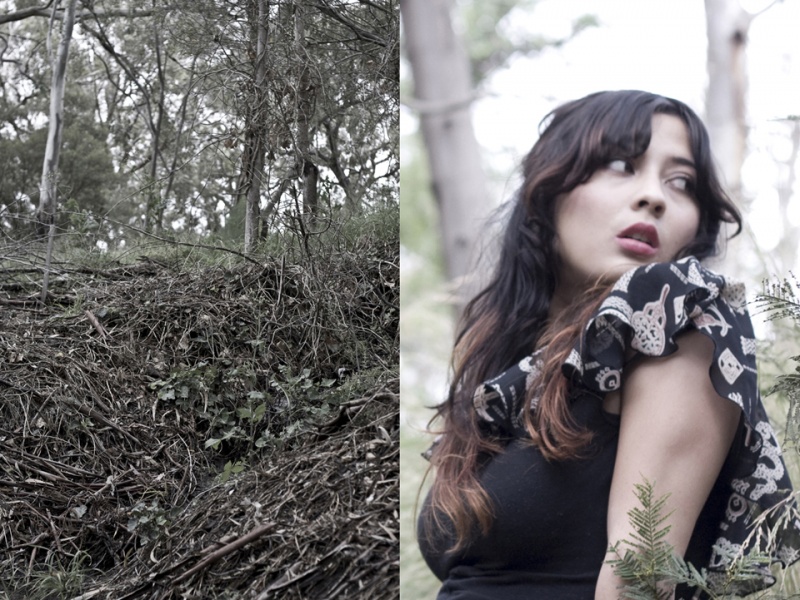 MattSolomon Photography
