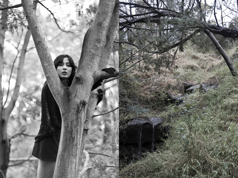 MattSolomon Photography