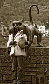 Used Ambition - Moneky with Mirror