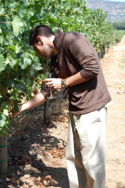 Justin Williams - Winery Photos