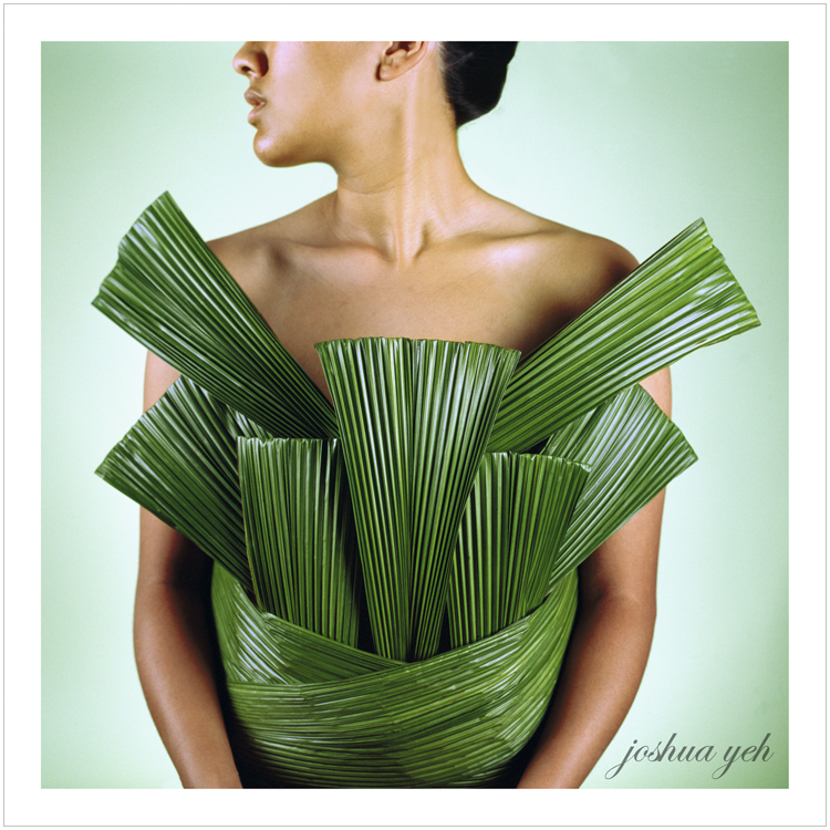 Joshua Yeh Photography