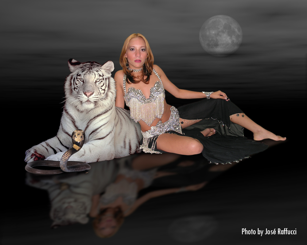 JOSE RAFFUCCI - tiger