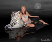 JOSE RAFFUCCI - tiger