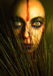 Voivodess - Through the looking grass