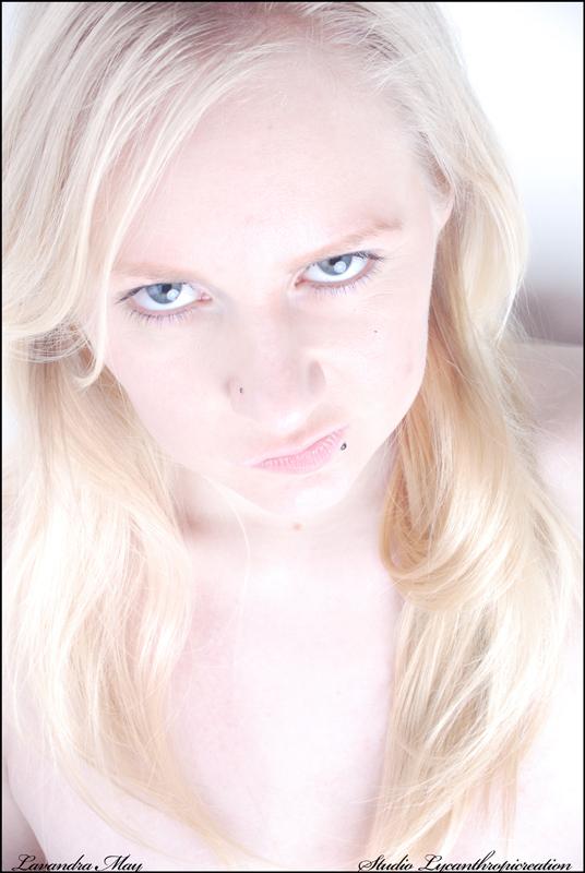 Lavandra