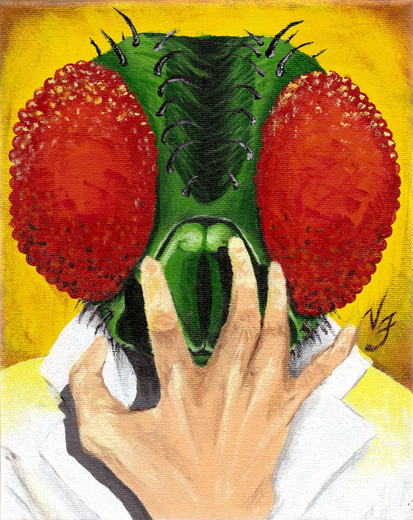 VonFrankenstein Imagery
