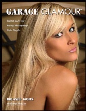 Holley - Garage Glamour Book Cover