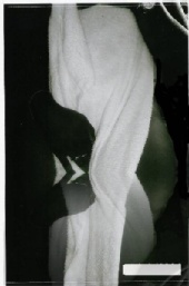 Alicia - what do you see?
