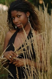 Cola - African Grass Photo