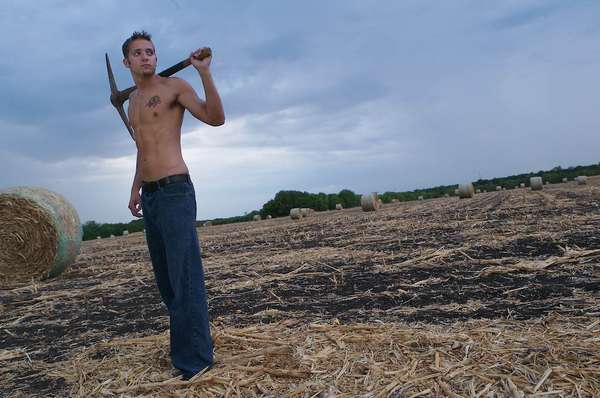 Flip Ashley - cornfield