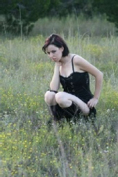 Faint Memory - September 22, 2007 Shutter Stars