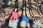 Misty1 - Fall Leaves