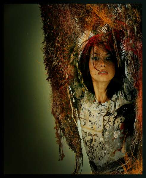 Yelena - flameco spider