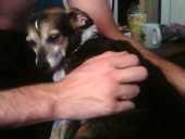 Angel Baby Girl - Chester 