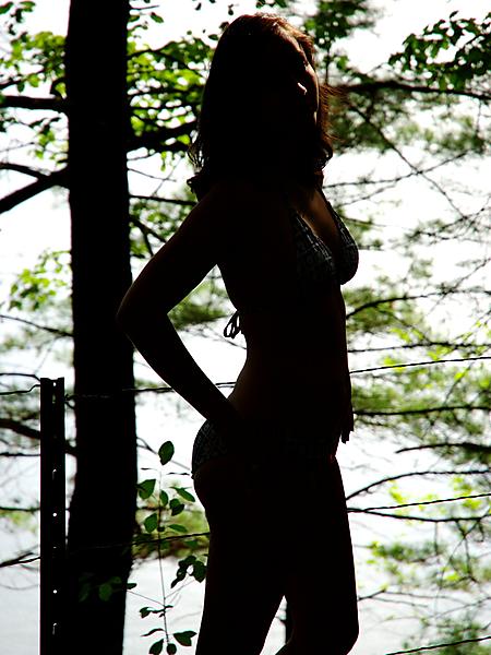 Sonya650 - Silhouette