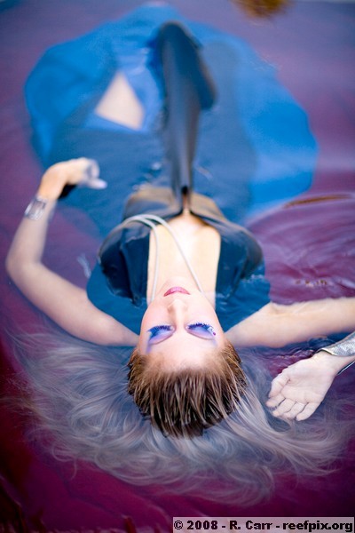 Savanna - Underwater shoot