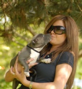 Aki - Pit Pup!