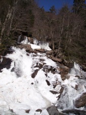 Wynter Rain - Waterfall