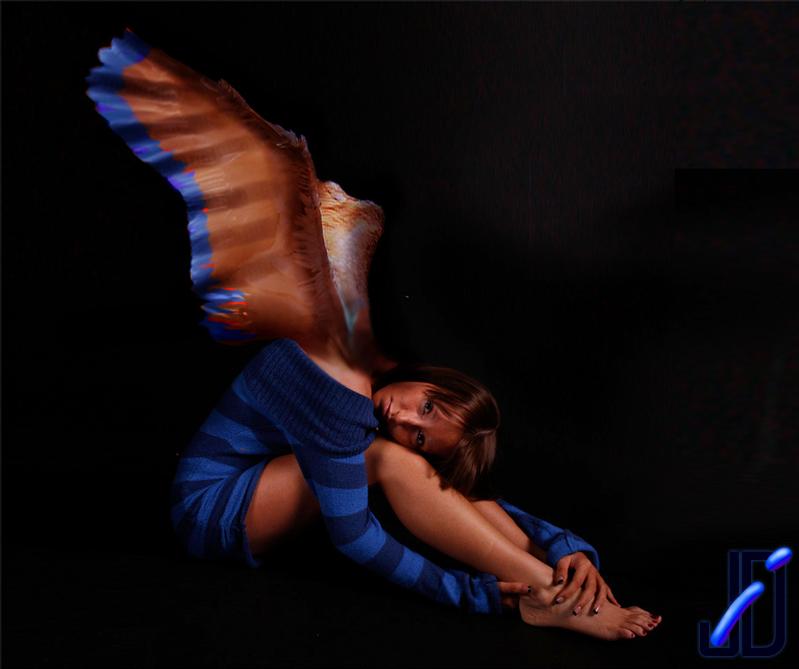 lolli - angel in disguise