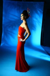 Lisa Hamel - Bong Website