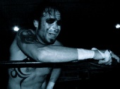 Warhed - Hed in action 1