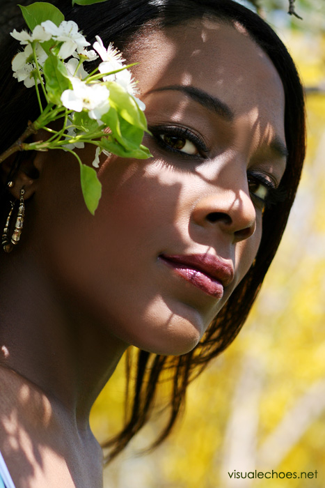 Shaquanna - Visual Echoes 