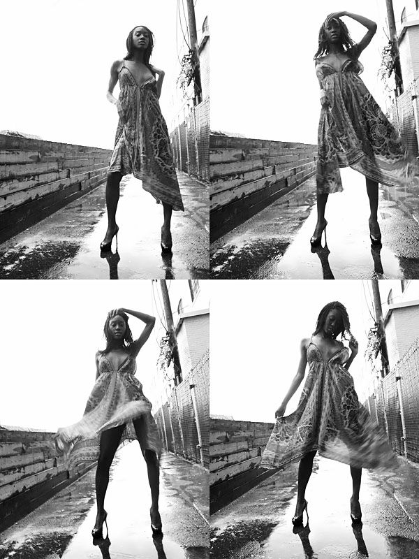 Vevica - black & white story line
