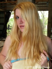 The Gotham Girl - Horse Farm