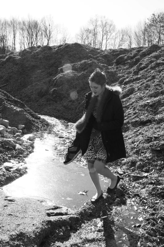 Fox - Crossing The River