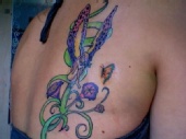 maryxbaby11 - butterfly garden 