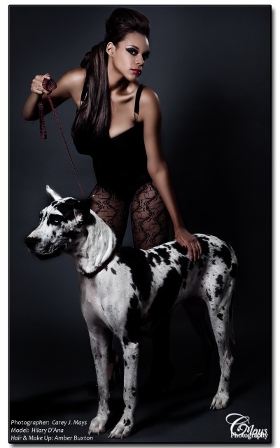 RedStallion - High Fashion