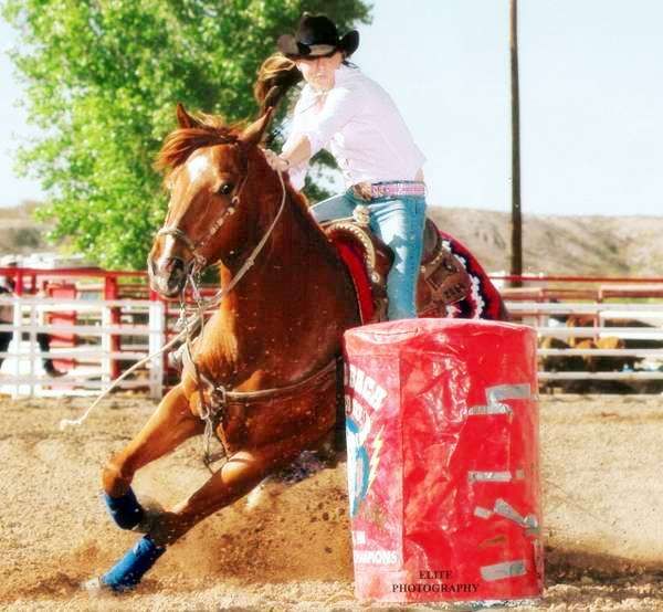 Dara Pearce - Barrel Racing