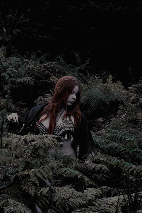 Night Phoenix - Forest Dancer