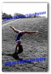 Emily F. - amanda haines 