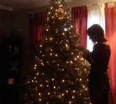 Randi Travers - Trees & Birds