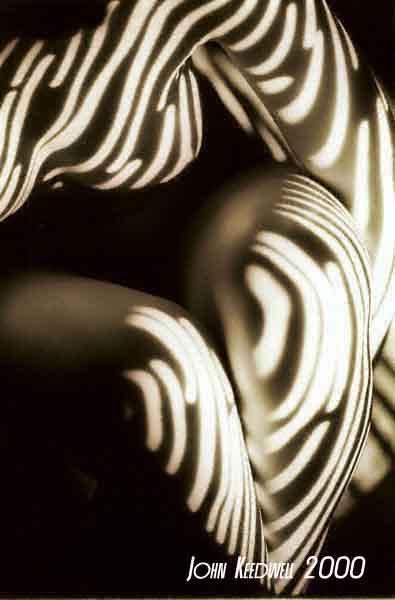 Elanor - Stripes