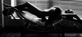 Wendy Jayne - Bodylines