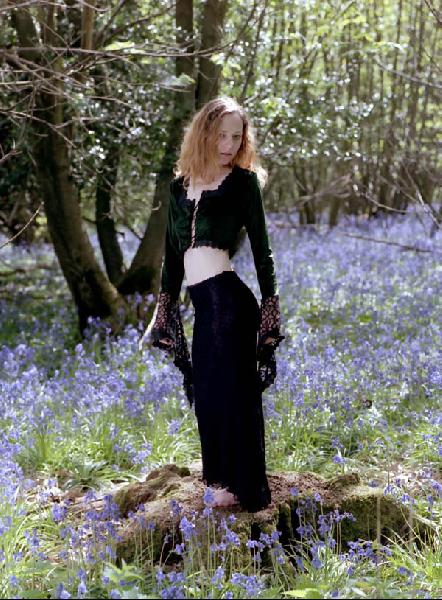 Charlotte Fox - woodland