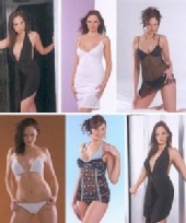 Erica - A selection from a shoot