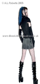 Reclamation - Dissolution Industries 2