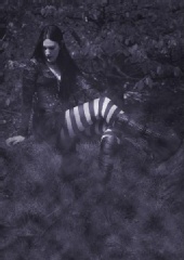 Black_Lotus - Woods