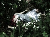 Zinzi - High Fashion Crime Scene